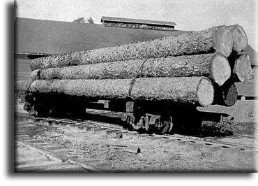 heart pine by rail