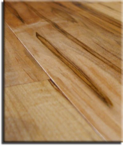 Ambrosia maple flooring