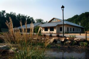 Antique Oak Flooring