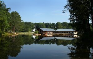 Antique Oak Flooring